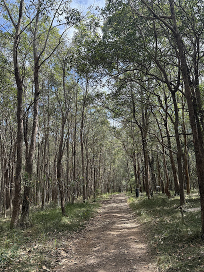 Belmont Hills Reserve