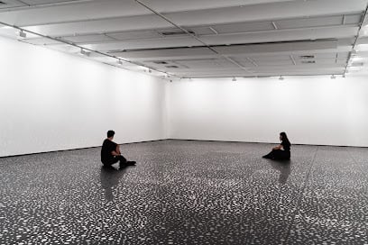 Institute of Modern Art