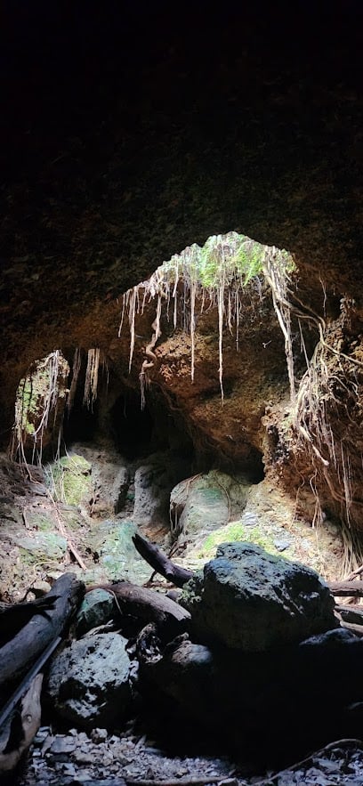 Mt Gravatt Caves