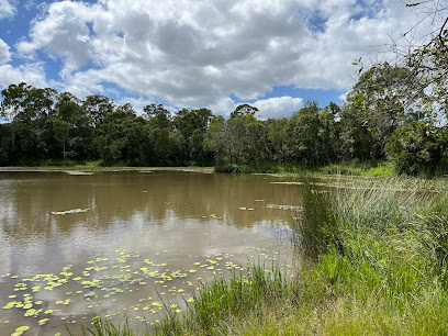 Berrinba Wetlands