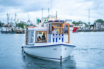 Mooloolaba Canal Cruise