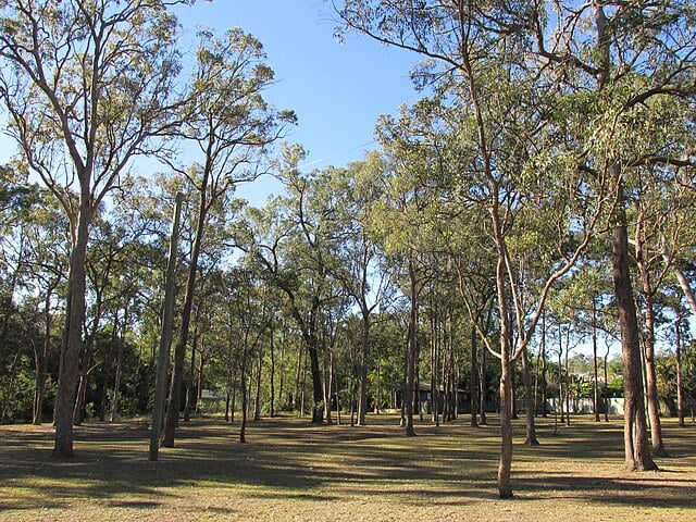 Browns Plains QLD suburb in the City of Logan