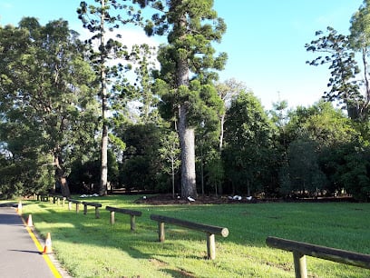 Sir Hercules Sinnamon Park