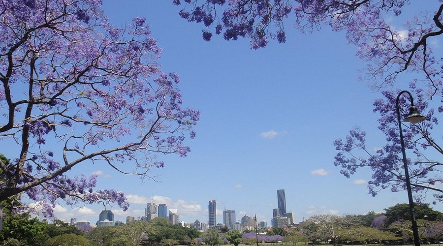 New Farm QLD, a riverside Brisbane suburb near Low Voltage Rescue Course training
